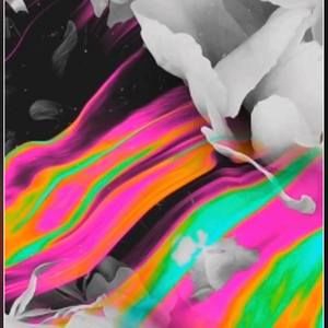 Meet your Posher, Jared